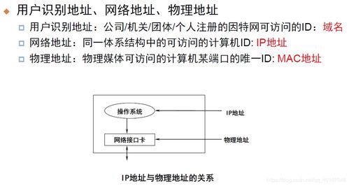 现代计算机网络中的TCP/IP网络技术 计算机网络技术开发的核心基石